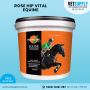 Buy Rose-Hip Vital Equine Powder For Horses | Vetsupply