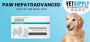 Buy PAW Hepatoadvanced For Cat and Small Dog 30 Tablets Onli