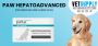 Buy PAW Hepatoadvanced For Medium and Large Dog 30 Tablets 