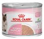 Royal Canin Mother & Babycat Wet Cat Food - VetSupply