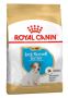 Royal Canin Jack Russell Terrier Puppy Dry Dog Food Royal Canin Jack Russell Terrier Puppy Dry Dog Food