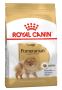 Royal Canin Pomeranian Adult Dry Dog Food | VetSupply Royal Canin Pomeranian Adult Dry Dog Food | VetSupply