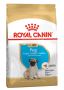 Royal Canin Pug Puppy Dry Dog Food | VetSupply Royal Canin Pug Puppy Dry Dog Food | VetSupply