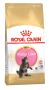 Royal Canin Maine Coon Kitten Dry Cat Food - VetSupply Royal Canin Maine Coon Kitten Dry Cat Food - VetSupply