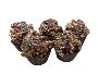 Huds and Toke - Doggy Carob Crackles Huds and Toke - Doggy Carob Crackles