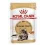 Royal Canin Maine Coon in Gravy Adult Over 15 Months Pouches