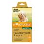 Advocate for Dogs - Flea, Heartworm & Worm Treatment
