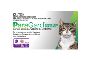 Paragard Allwormer For Cats & Kittens