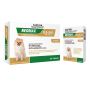Neomax Allwormer Tablets For Dogs | VetSupply Neomax Allwormer Tablets For Dogs | VetSupply