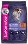 Eukanuba Medium Breed Puppy Dry Dog Food | Pet Food