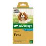 Advantage For Medium Dogs 4 To 10Kg (Aqua) | VetSupply Advantage For Medium Dogs 4 To 10Kg (Aqua) | VetSupply