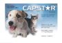 Buy Capstar For Cats And Small Dogs 0.5 To 11Kg (Blue) Onlin