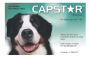Buy Capstar For Large Dogs over 11Kg (Green) Online Buy Capstar For Large Dogs over 11Kg (Green) Online
