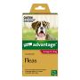 Advantage For Large Dogs 10 To 25Kg (Red) | VetSupply Advantage For Large Dogs 10 To 25Kg (Red) | VetSupply