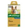 Advantage For Extra Large Dogs Over 25Kg (Blue) | VetSupply
