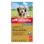 Advantix For Medium Dogs 4 To 10Kg (Aqua) | VetSupply