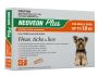 Buy Neoveon Plus Flea and Tick For Small Dogs Upto 10kg Oran