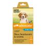 Advocate for Dogs Medium Aqua 4 to 10 Kg 1 Dose | VetSupply