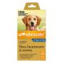 Advocate for Dogs Extra Large Blue Over 25 Kg 1 Dose