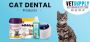 Buy Cat Dental Care Products Online | VetSupply