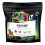 Plexident Dental Chews for Dogs | VetSupply