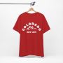 State of Colorado Mountains Graphic T-shirts for Men