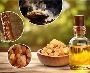 Kerala’s Spice Extraction Industry: A Hub for Oleoresins, Re