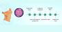 Lymphoma Treatment Cost in India – Affordable & Advanced Car