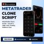 MetaTrader Clone Script – Create a Custom Forex Trading Hub 