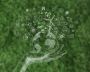 Taxxon: Innovative Solutions for Effective Carbon Reduction