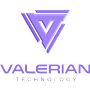 CTO Consultant