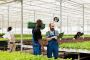 Accounting Software System for Growers | QuickBooks Integrat