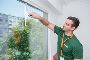 Professional and Affordable Window Washing in Tauranga