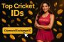 Expert Cricket Match Insights | 11xplay Pro