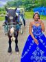 Central Park Horse Carriage Tours Central Park Horse Carriage Tours