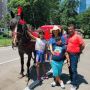 Central Park Carriage Tours Central Park Carriage Tours