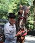 Horse Carriage Rental.