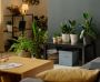 Trusted Professional Painting Contractors London – Fine Fini