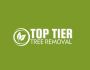 Top Tier Tree Services
