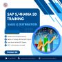 SAP S/4HANA Sales and Distribution (SD)
