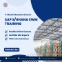 Transform Your Supply Chain with SAP EWM in S/4HANA