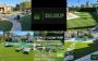 Totally Clean Turf Totally Clean Turf