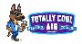 Totally Cool Air