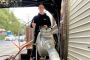 Pipe Relining Chatswood – No-Dig Drain Repairs