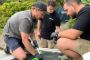 Trusted Pipe Relining Wollstonecraft | Save Time & Money