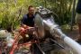 Your Local Experts in Pipe Relining Eastern Suburbs | Durabl