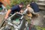 Fast & Reliable Blocked Drains Northern Beaches Services