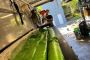 Trusted Pipe Relining Company Sydney – Long-Lasting Solution