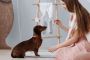 Puppy and Dog Training Services in North London