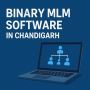  Supercharge Your Network Marketing with Binary MLM Software
